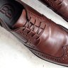 04 brogue classico db